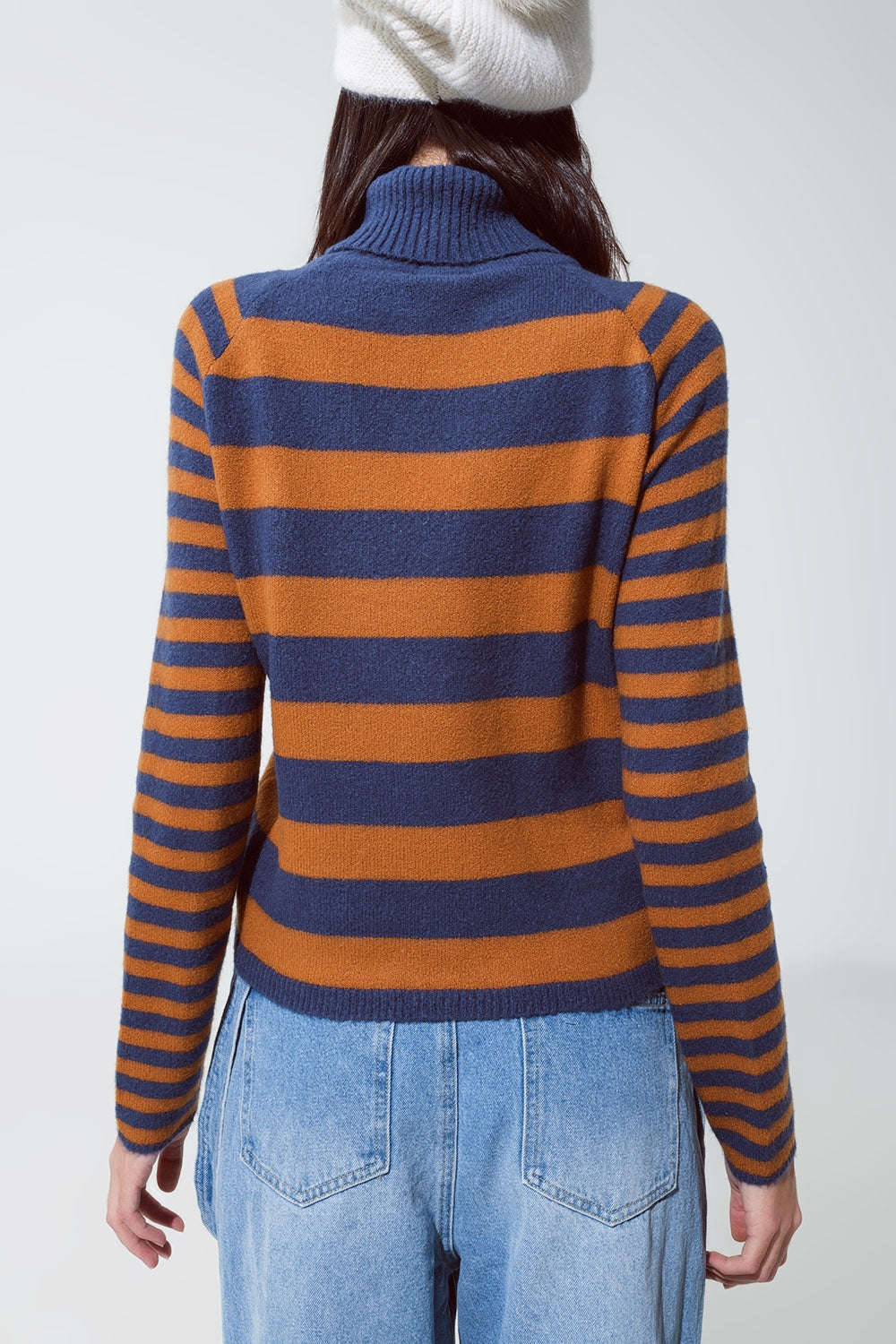 Blue and Brown TurtleNeck with Stripes